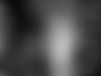 Welcoming Flying Bee to Our Site