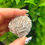 Thumbnail: Desert Rose Specimen
