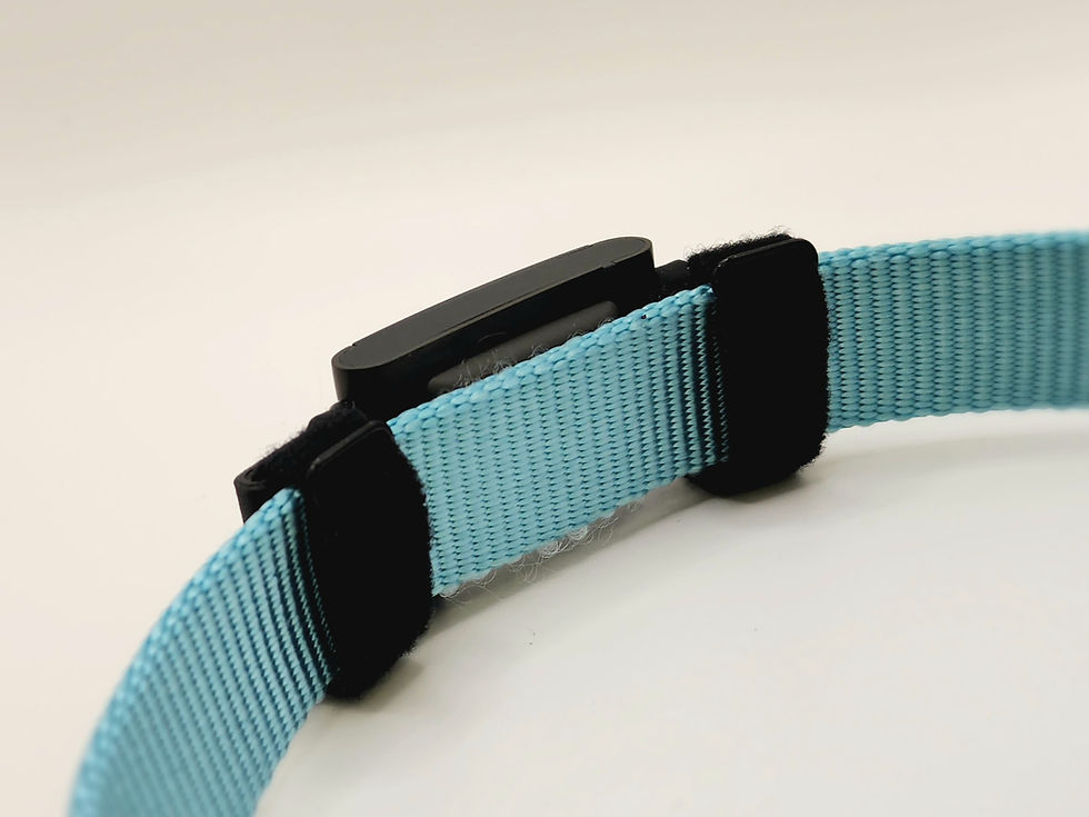 Thumbnail: Fi Series 3 Compatible Collar Adapter