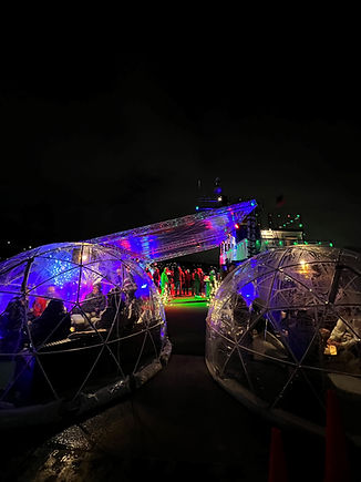 igloos.jpg