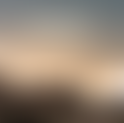 Construa sua história com foco e intenção: a colheita é certa!