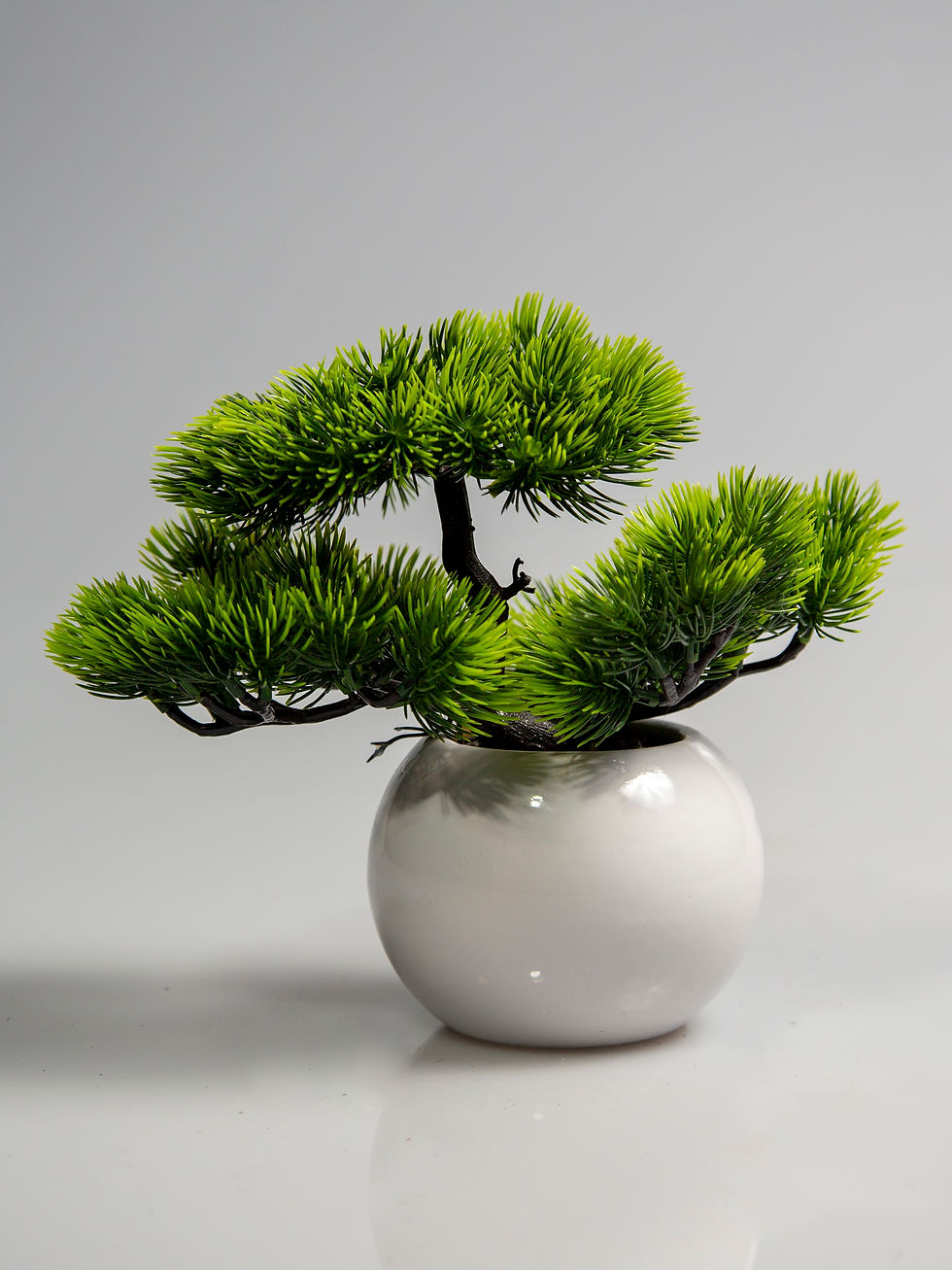 Faux Bonsai Tree