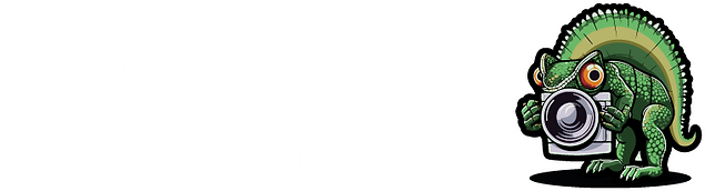 Kaméleido Production