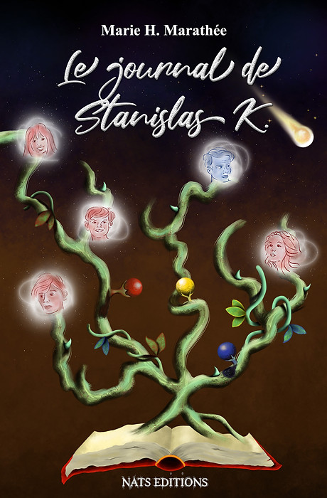 Journal Stan Cover Web.jpg