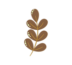 Brown leaf