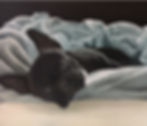 Portrait of Bear