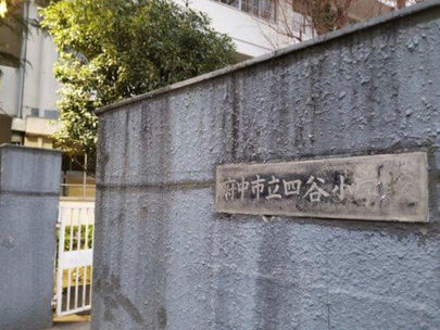 ホームページを開設しました