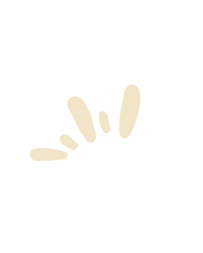 EMB DIED-8.png