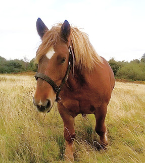 funky 2024_edited_edited.jpg