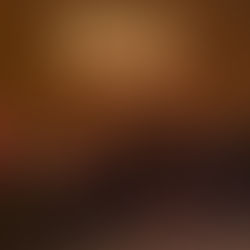 Anadolu Universiteti nümayəndələri Heydər Əliyev Fondunda olmuşlar