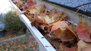 Specialising in cleaning gutters and removing debris to avoid unnecessary damage or issues developing