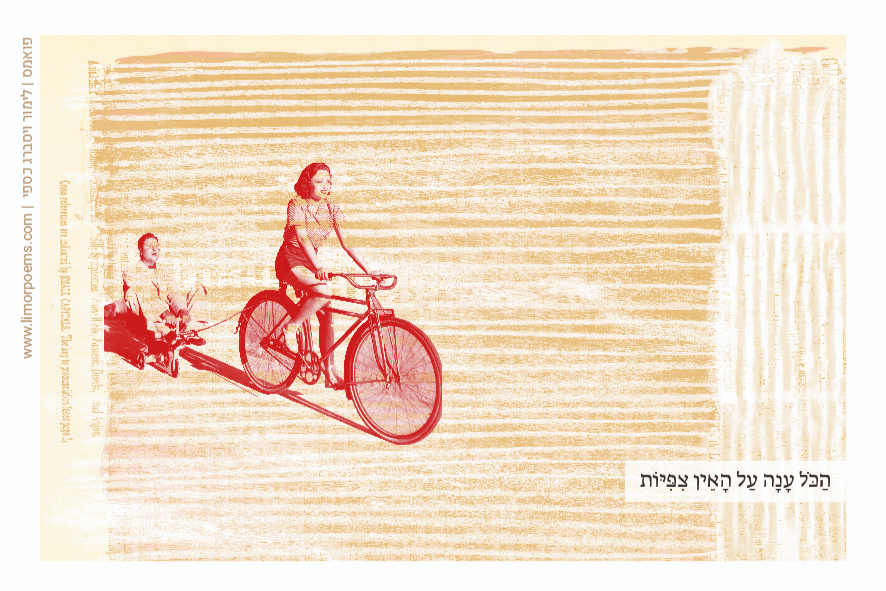 הכל ענה על האין צפיות