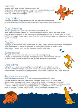 continuation of the dog article