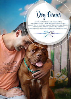 Dog Corner magazine article