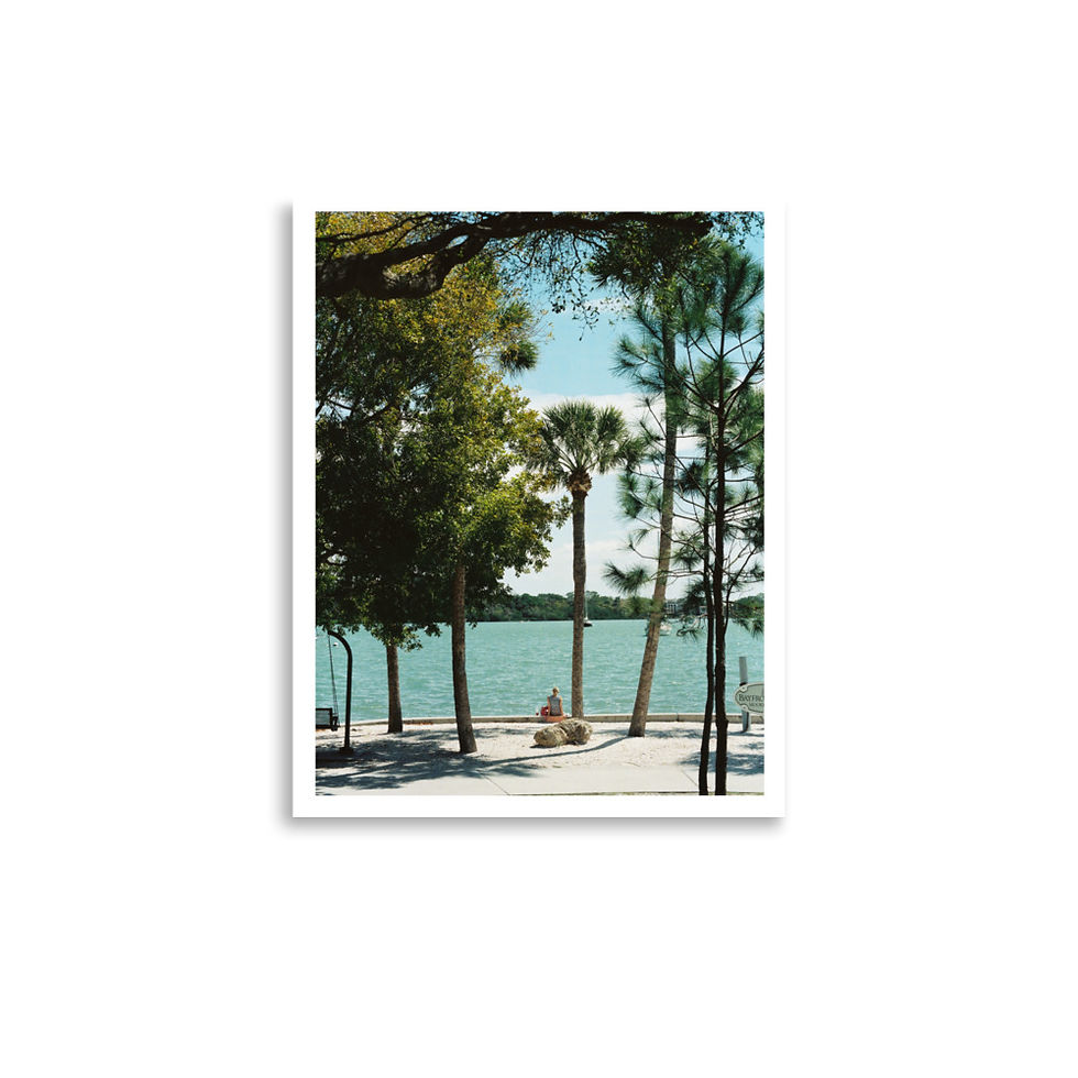 Thumbnail: "Atlantic Break, Mid-Day, Sarasota"