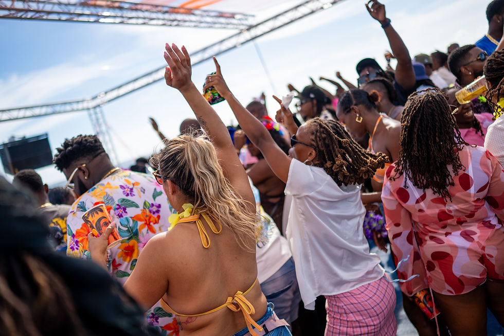 Despicable Vibes | 2025 