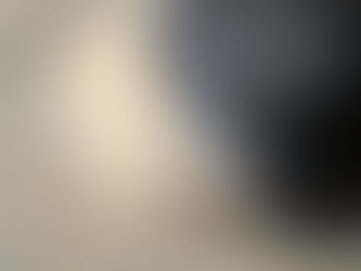 Interference Injuries in Horses