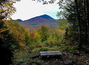 view-of-mount-blue-from-a-bench-center-h