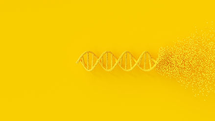 Regenerative Aesthetics