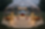 965FAA5A-2E5A-4309-9FE1-FDE88A188279.png