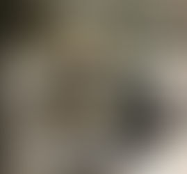 Day 21 Three weeks in