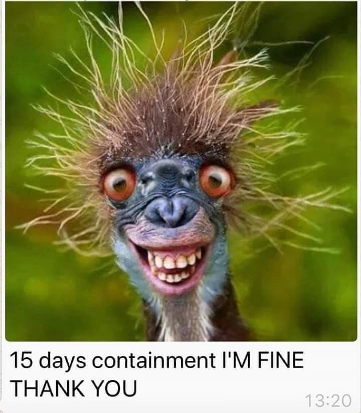 Day 15 I'm fine thank you