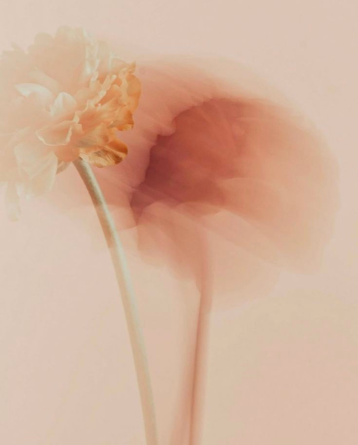 Endometriose e infertilidade: desafios e esperanças