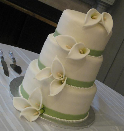 foto1 web