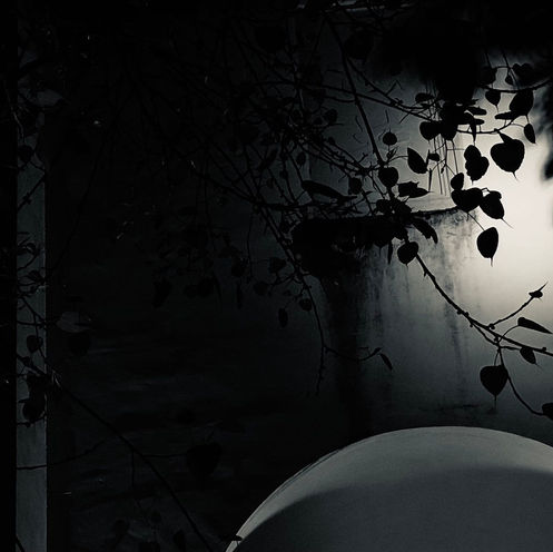 Autumn '22 Issue | 2022 秋季刊