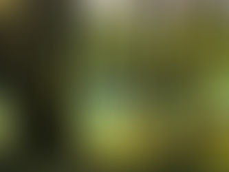 Summer '23 Issue | 2023 夏季刊