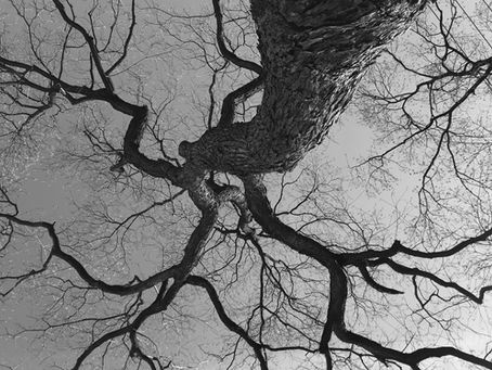 Spring '22 Issue | 2022 春季刊