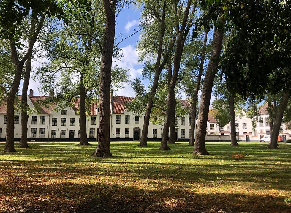 old Belgian buildings glimpsed through trees dappled in sunlight