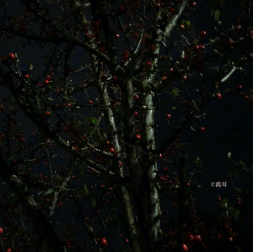 Spring '24 Issue | 2024 春季刊