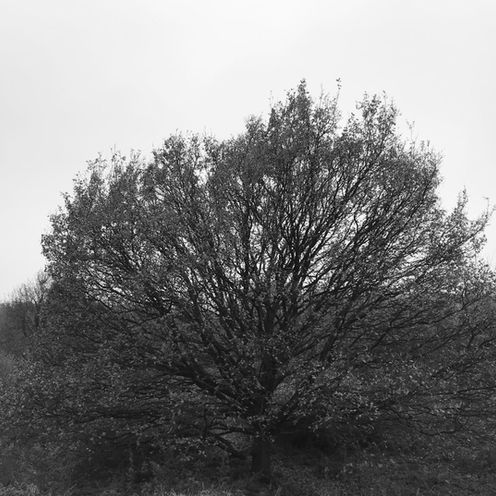 Winter '22 Issue | 2022 冬季刊