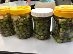 WhatsApp Image 2022-06-05 at 13.53.09 (1)