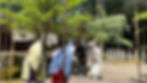   kyoto Japan travel shrine  Wish fulfilled - Shinto wedding ceremony 元伊勢内宮 皇大神社 パワースポット 結婚式 ご祈祷