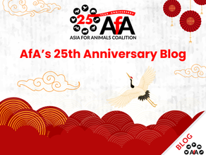 AfA’s 25th Anniversary Blog