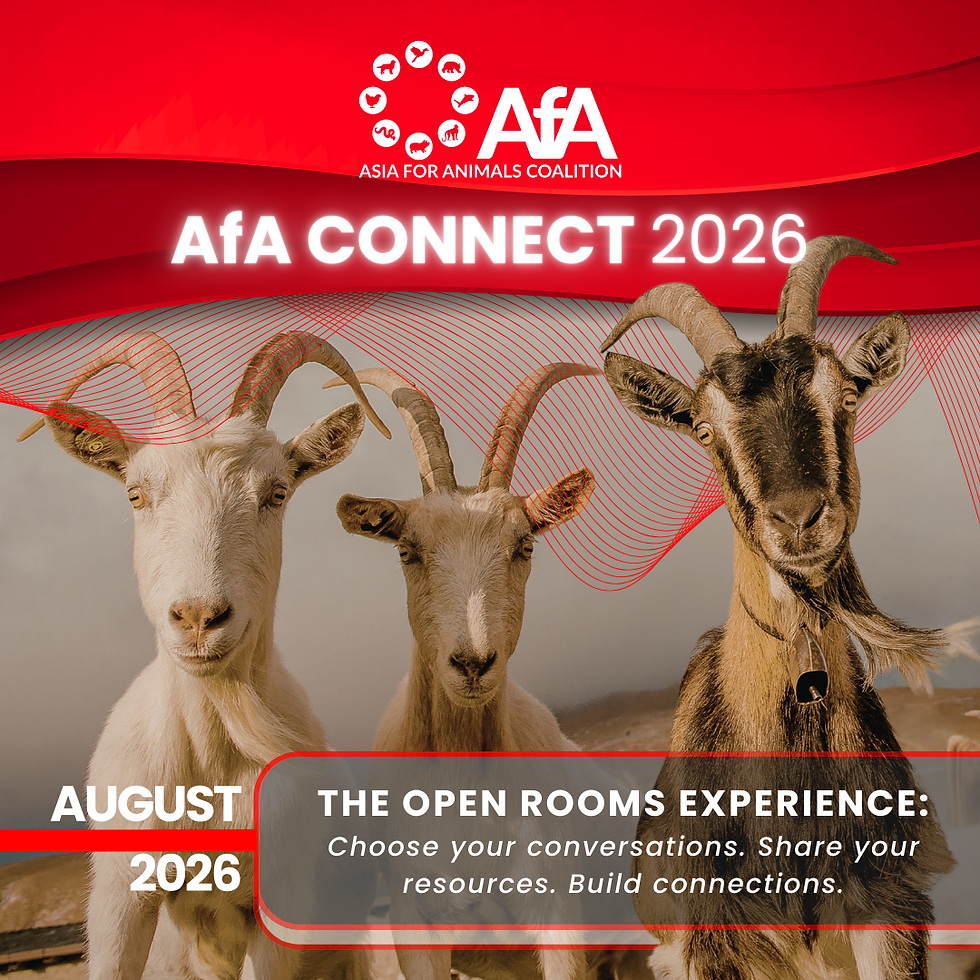AfA CONNECT 2026