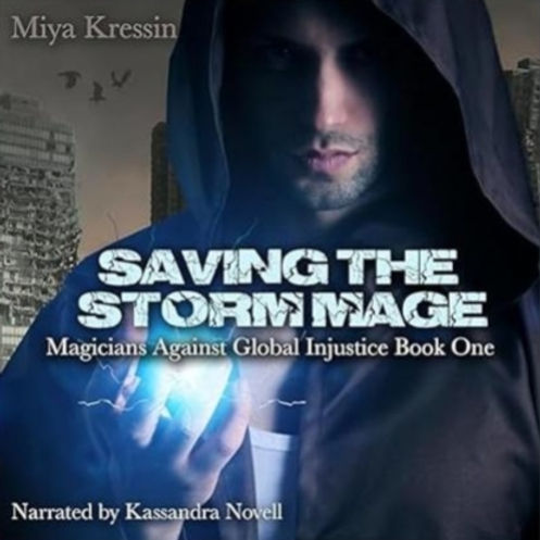 Storm Mage cover.jpg