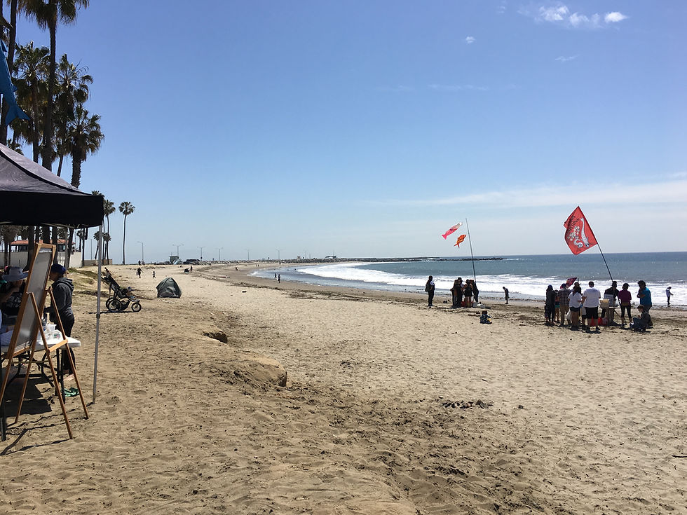 Beach Clean Up