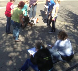 2014.09.21. - A temperamentum vizsga