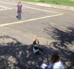 2014.09.21. - A temperamentum vizsga