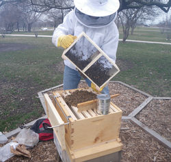 Package install 2018