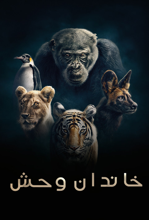 Dynasties