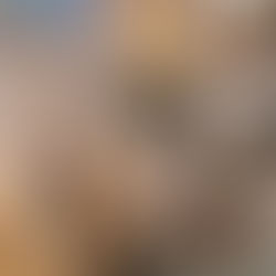 River Shack or the beach, you won't be short on inspiration