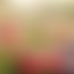 New $1.7 million funding announced for Australia-first program offering GreenCare respite