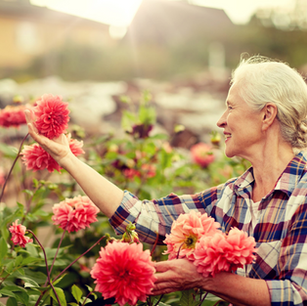 New $1.7 million funding announced for Australia-first program offering GreenCare respite