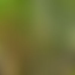 Privacy & more, yes bamboozle me 