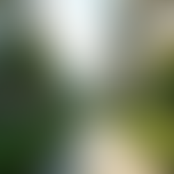 Modern apartment complex surrounded by greenery