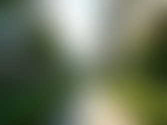 Modern apartment complex surrounded by greenery